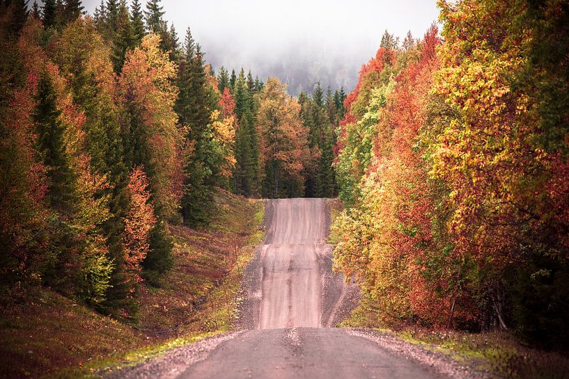 Route d'automne par Marc Hollenberg