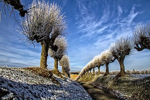 Via Festonallee to Bothmer Castle