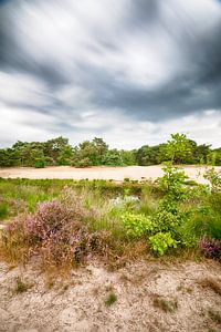 Nationalpark Loonse und Drunense Dünen