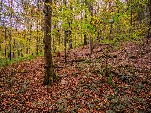 BADEN-WÜRTTEMBERG: BIJ DE GÜTERSTEINER WATERVAL