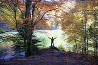 Bij Lac des Perches in de Vogezen in de herfst