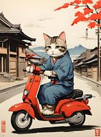Chat en scooter
