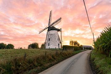 Eine schöne Windmühle aus Brakel von Marcel Derweduwen