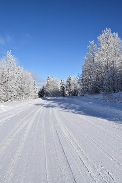 Une route de campagne en hiver sur Claude Laprise