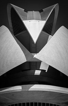 Architectuur in Valencia van Gonnie van Roij