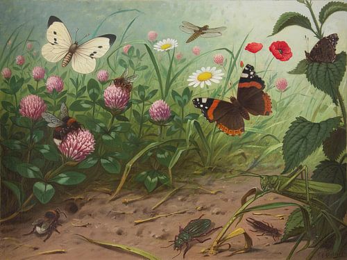 Insect, M.A. Koekkoek