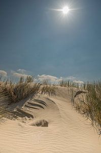 Kennemerduinen, Nord-Holland