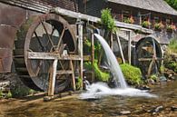 Hexenlochmühle im Schwarzwald von Markus Lange Miniaturansicht