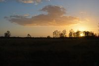 Nationalpark De Grote Peel