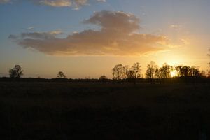 Nationaal park De Groote Peel