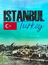 Istanbul Turkije van Printed Artings thumbnail