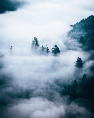 Saar Loop, Saarland, Germany