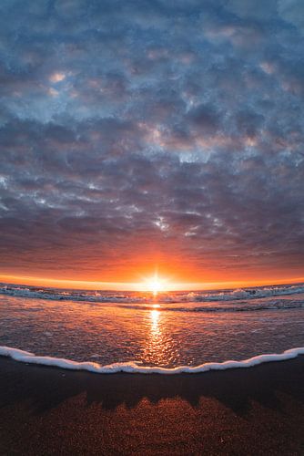 Look up to the sky