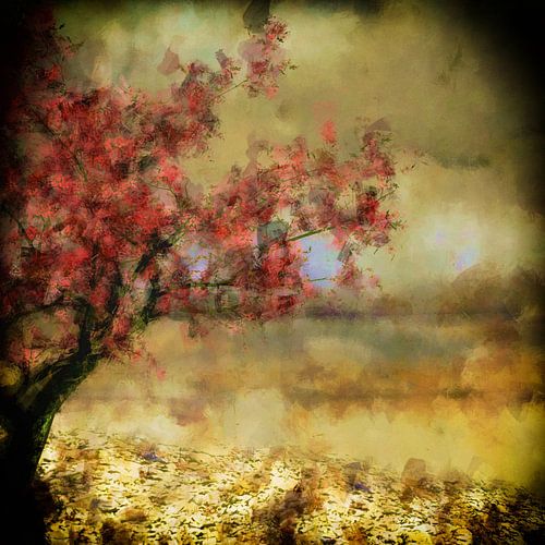 Zierkirschenblütenbaum