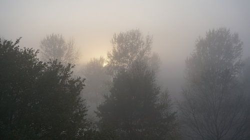 Mistig