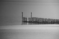 Pays du sel n/b