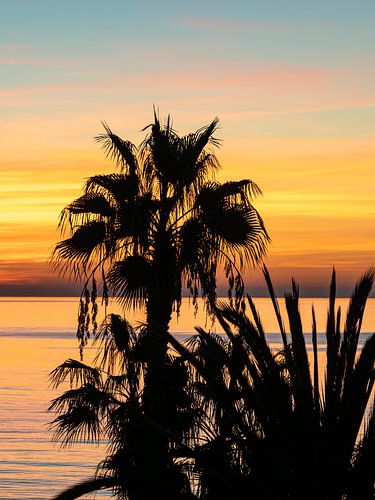 Juste avant le lever du soleil sur Luc V. de Zeeuw