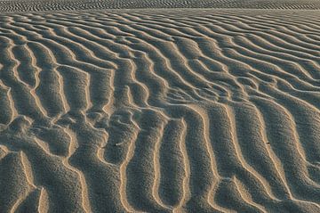 Shapes on a Dutch beach sur Waterpieper Fotografie
