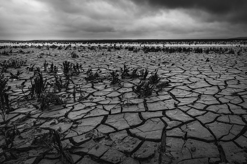 Noyé Uithuizerwad par Niels Bronkema