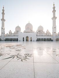 OLYMPIC DIGITAL CAMERA by Michiel Dros