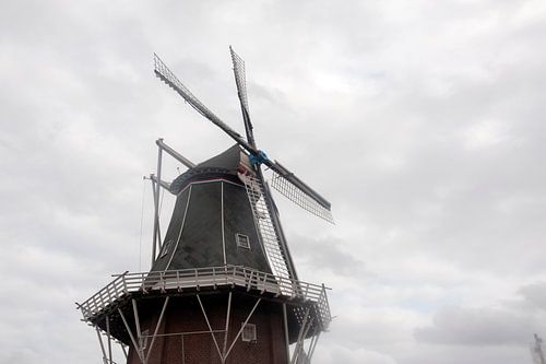 Adam Molen Delfzijl