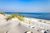 Dünen und Strand an der Ostseeküste von Sascha Kilmer Miniaturansicht