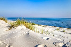 Dunes et plage sur la côte baltique sur Sascha Kilmer