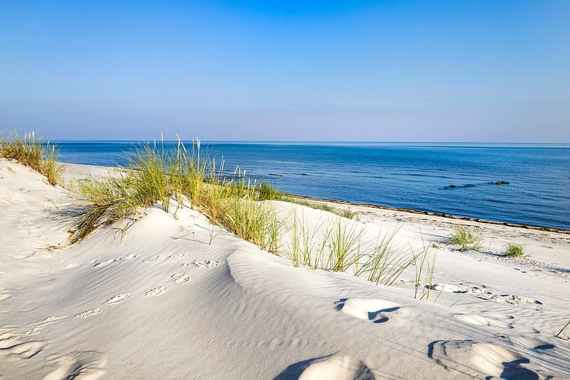 Dünen und Strand an der Ostseeküste von Sascha Kilmer