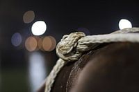 Tie the Knot