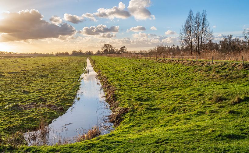 Dutch polder landscape with a low sun by Ruud Morijn