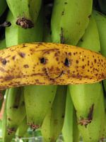 Banana smile