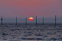 Sonnenuntergang über der Westerschelde