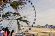 Tropical Scheveningen with giant ferris wheel by Karin vanBijlevelt thumbnail