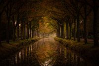 autumn in Bontebok, Friesland