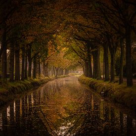 Herbst in Bontebok, Friesland von Tara Kiers