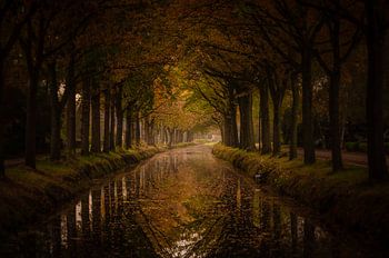 herfst in Bontebok, Friesland