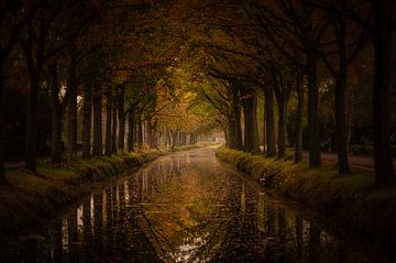 herfst in Bontebok, Friesland