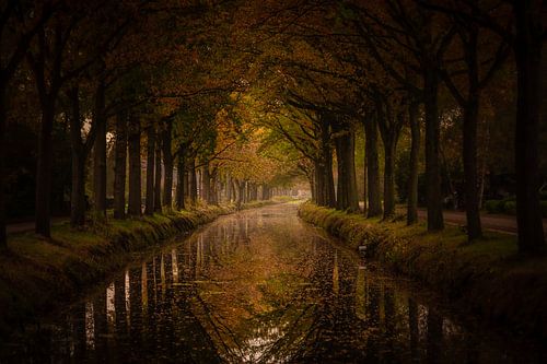 autumn in Bontebok, Friesland by Tara Kiers
