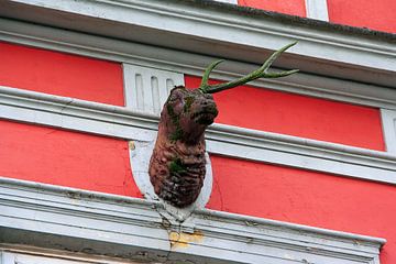 Deer with broken antlers on a salmon-orange wall in Wismar sur e-STER design