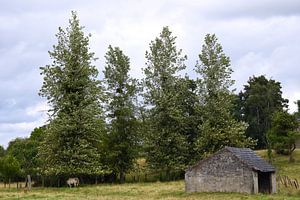 Eine ländliche Landschaft mit Wiesen und einem Kuhstall von Retrotimes