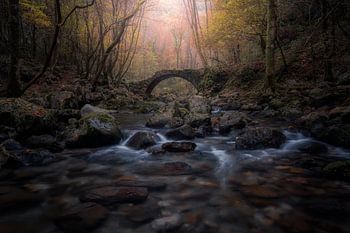 Pour un goût d'éternité