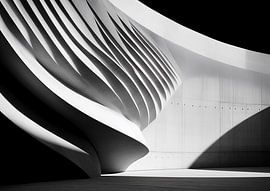 architecture with an almost musical precision. by Retinas images