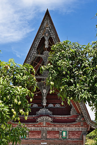 Traditional art and motifs of Samosir
