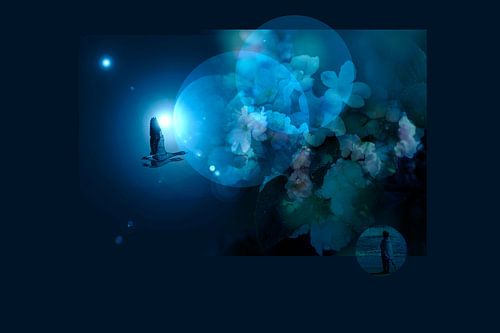CIRCLING THE MOON
