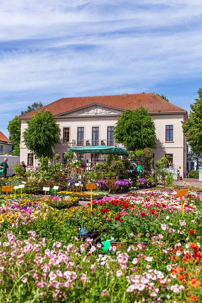 Standesamt mit Pferdemarkt, Oldenburg von Torsten Krüger