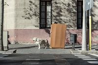 Barcalona Streets