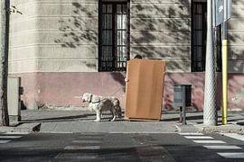 Barcalona Streets van Sven Scholten