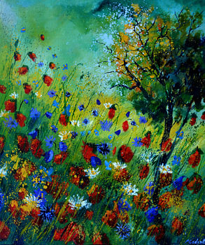 Mohnblumen 672020