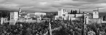 Photo panoramique de l'Alhambra en noir et blanc