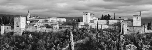Panoramic photo of the Alhambra in Black and White